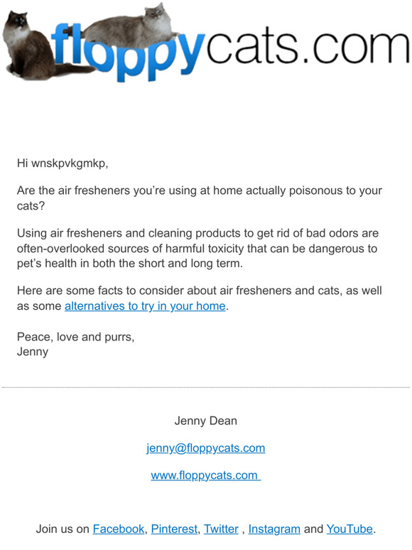 😻 BEWARE! Toxic “Air Fresheners” for Your Cat