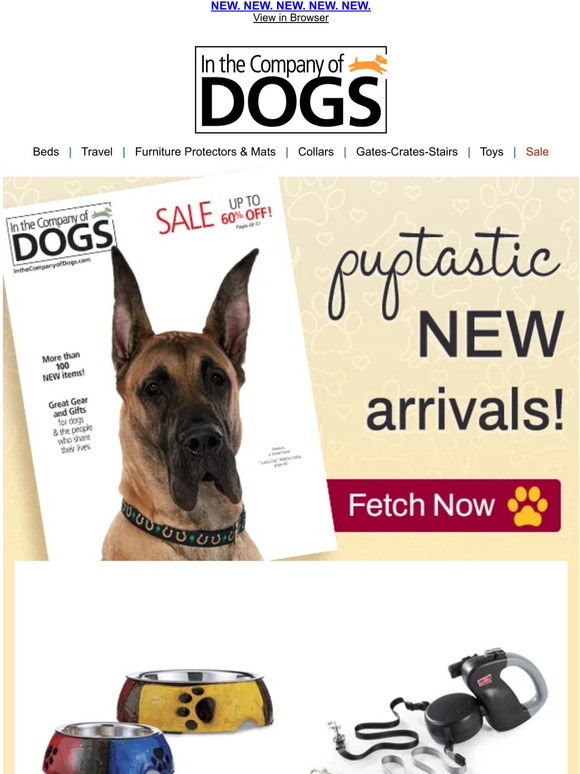 In The Company of Dogs Let's Go Shopping New Catalog and New