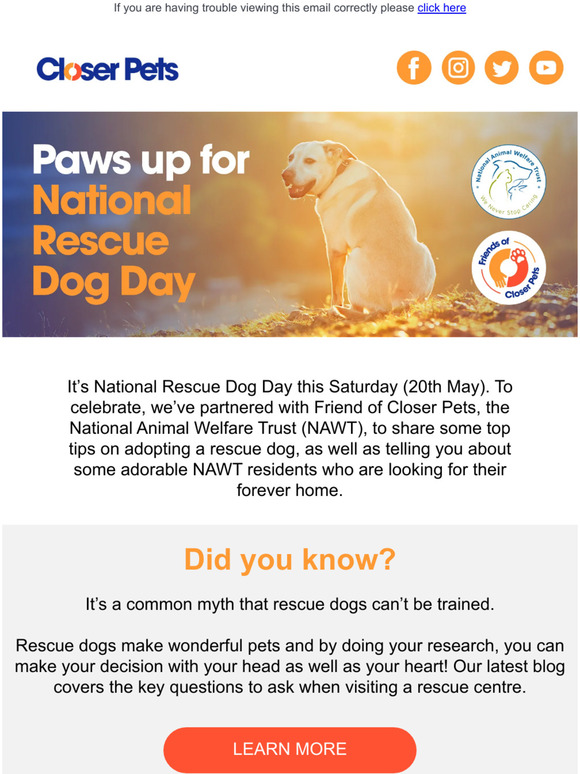Hi there, paws up for National Rescue Dog Day!