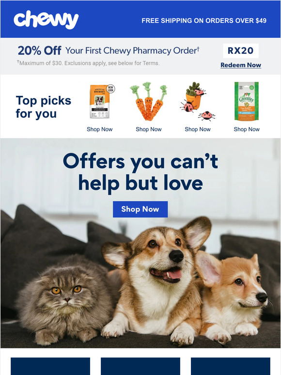 Get what your pet needs with these offers