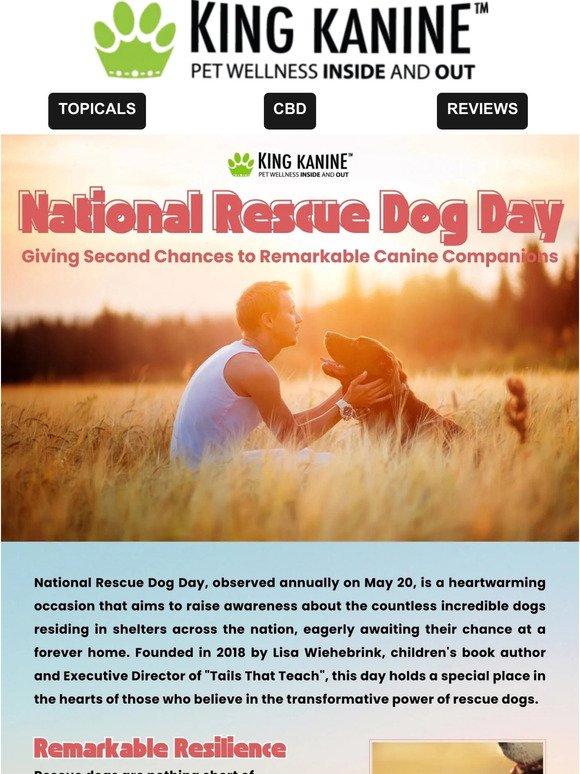 🐕⛑️🐕 National Rescue Dog Day 🐕⛑️🐕
