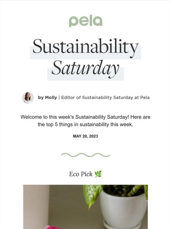 Sustainability Saturday | 28 Eco-Friendly Gardening Tips and Tricks