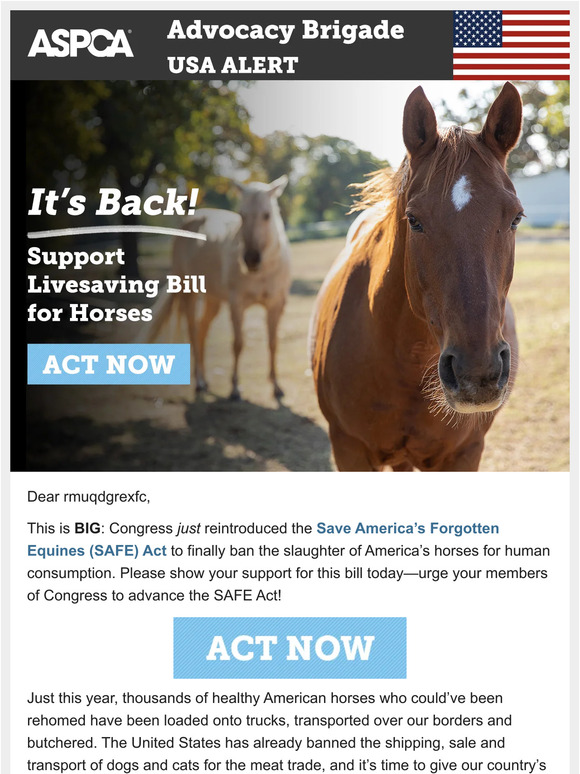 HUGE Opportunity to Save Horses