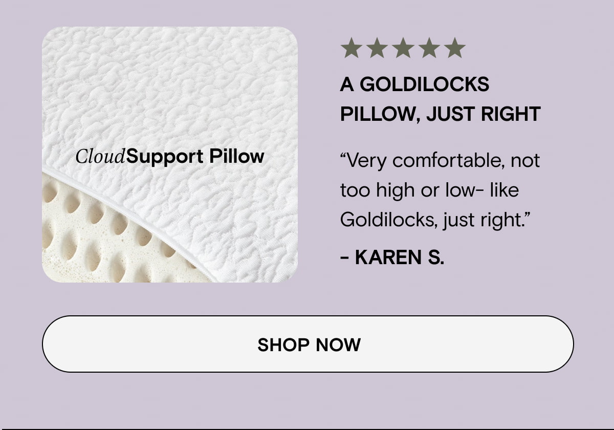 CloudSupport Pillow