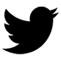 Twitter logo made up of a a flying bird with its beak open.