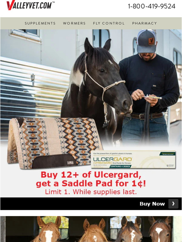 Valley Vet Supply Equine Cushings, Explained Milled