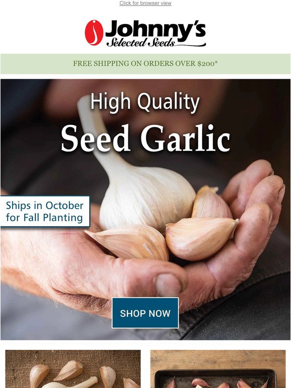 Order Garlic Early While Supplies Last!