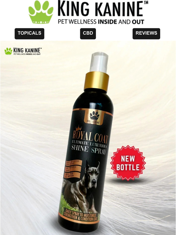 🐩💈🐩 Brand New Royal Coat! 🐩💈🐩