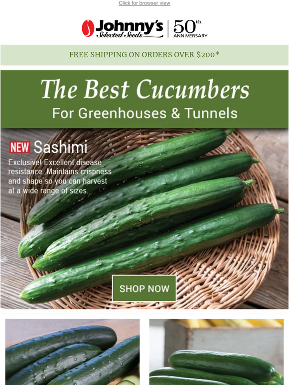 Grow Cucumbers in Protected Culture