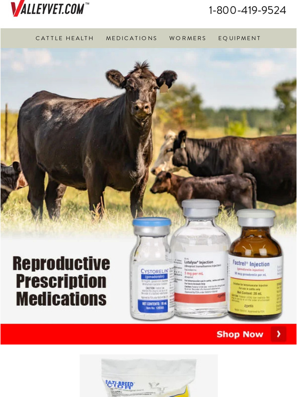 Cattle Repro: Discounts Inside!