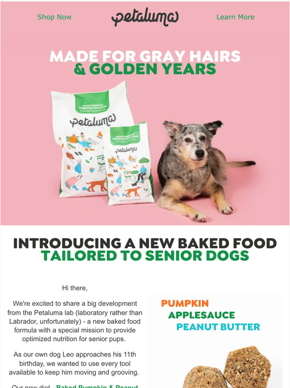 Meet a new baked food for senior dogs