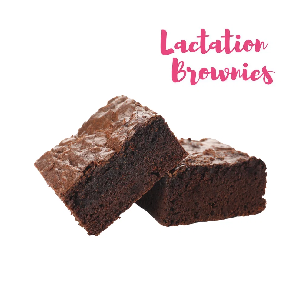 Image of Lactation Brownies