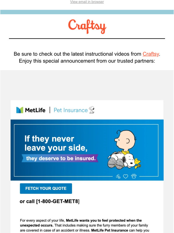 Insurance for the whole family…even your furry members.