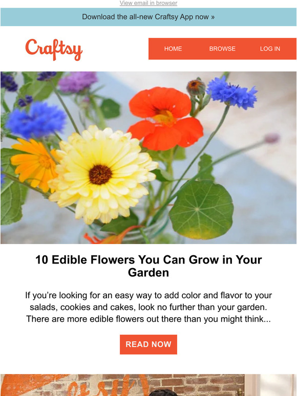 10 Edible Flowers You Can Grow in Your Garden