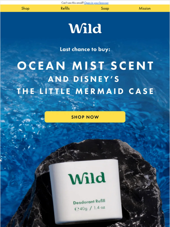 Last chance for Ocean Mist & Disney's The Little Mermaid Case
