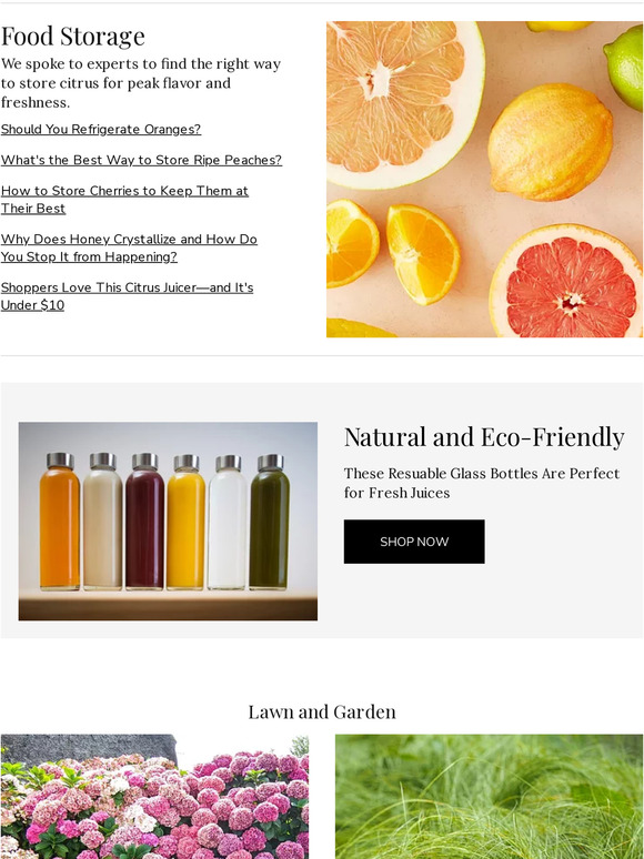 Martha Stewart Should You Refrigerate Oranges? Milled