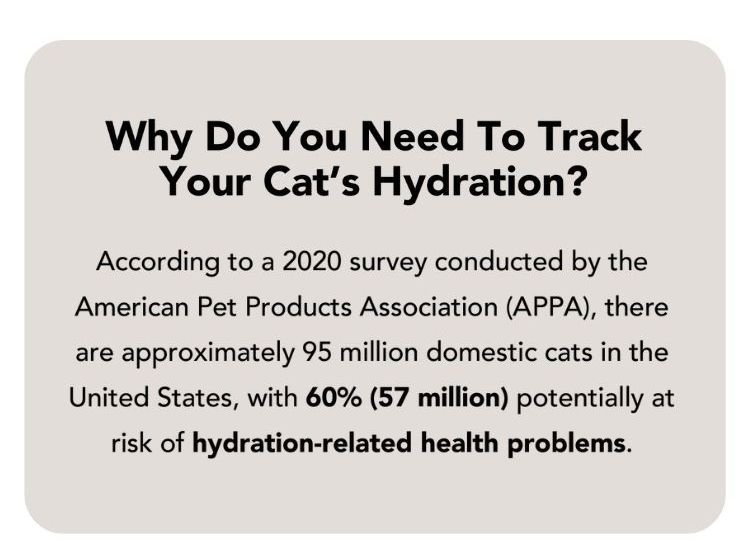 Why do you need to track your cat's hydration?
