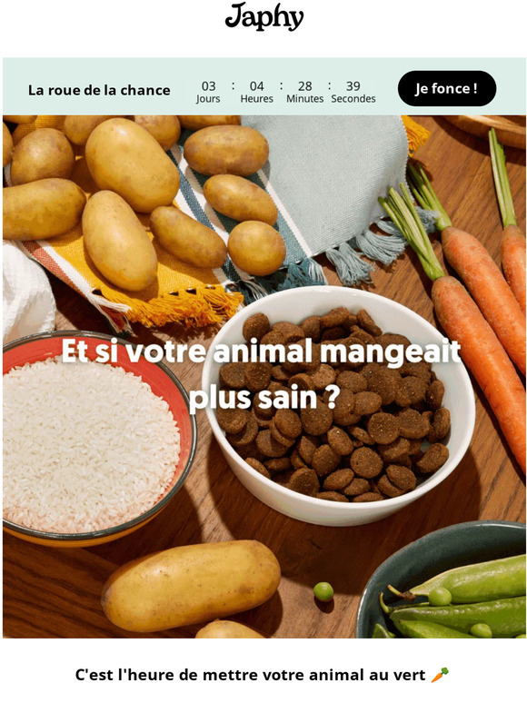 🥕 Des repas sains pour votre animal🍏