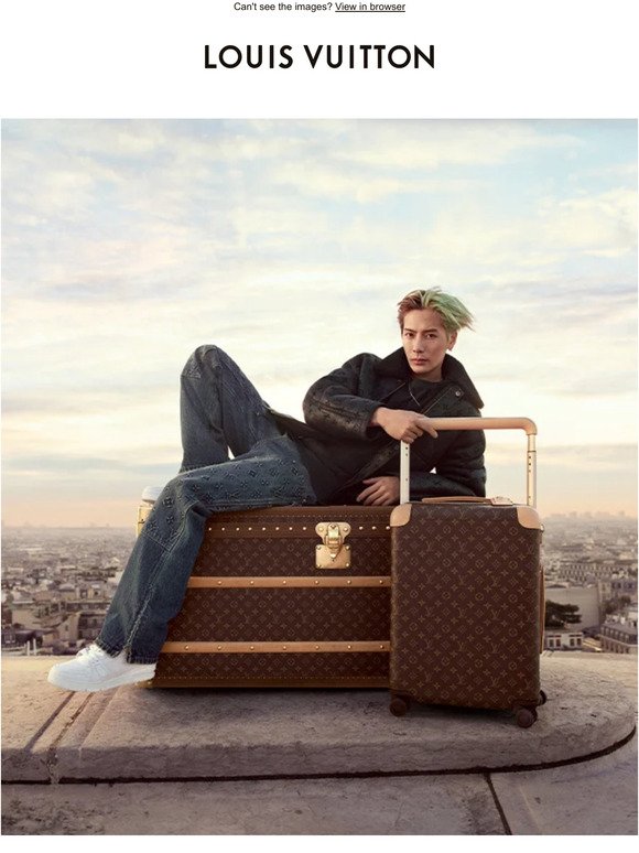 Louis Vuitton Email Newsletters: Shop Sales, Discounts, and Coupon Codes