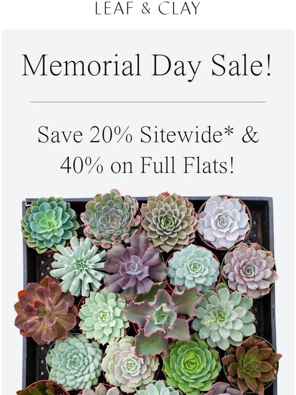 🇺🇸🌵 Memorial Day Sale! Get up to 40% OFF! 🌵🇺🇸