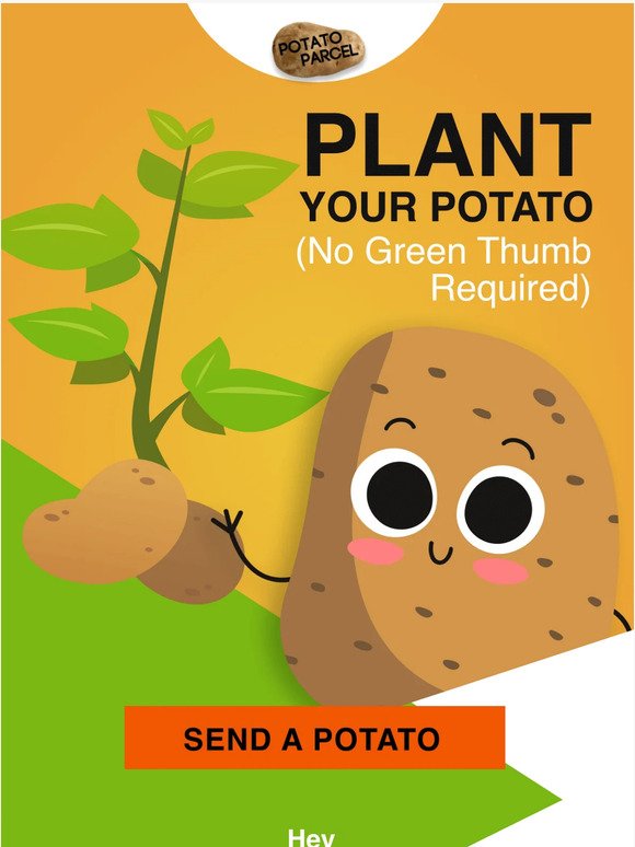 How To Plant A Potato 🥔📝