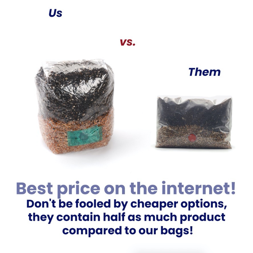 Optical Structures, Inc. Innovations in Mushroom Cultivation Tools