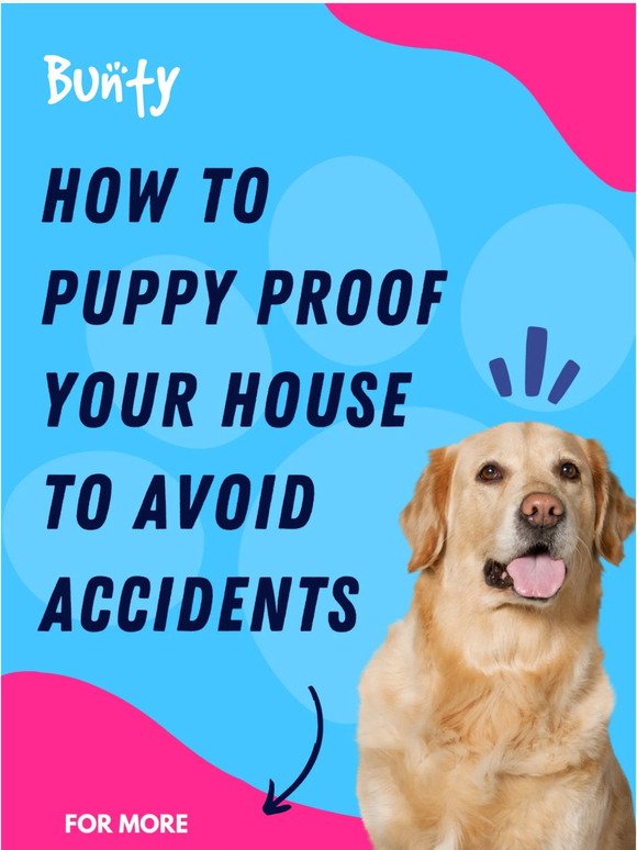 How to Puppy Proof your House to Avoid Accidents