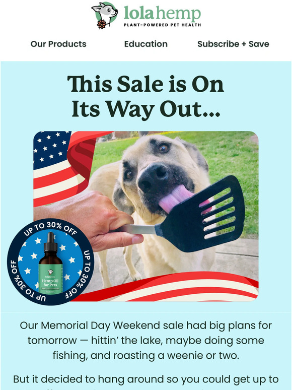 🇺🇸 Final Notice for 30% OFF