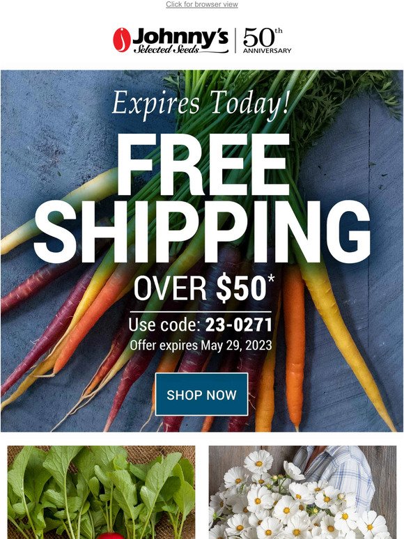 Ends Today: Celebrate Summer with Free Shipping!