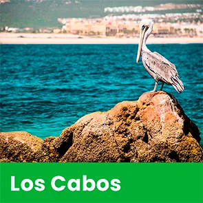 Los Cabos
