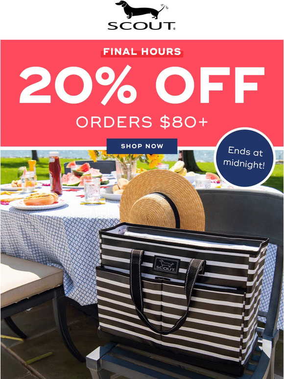 Final hours to SAVE 20% ‼️