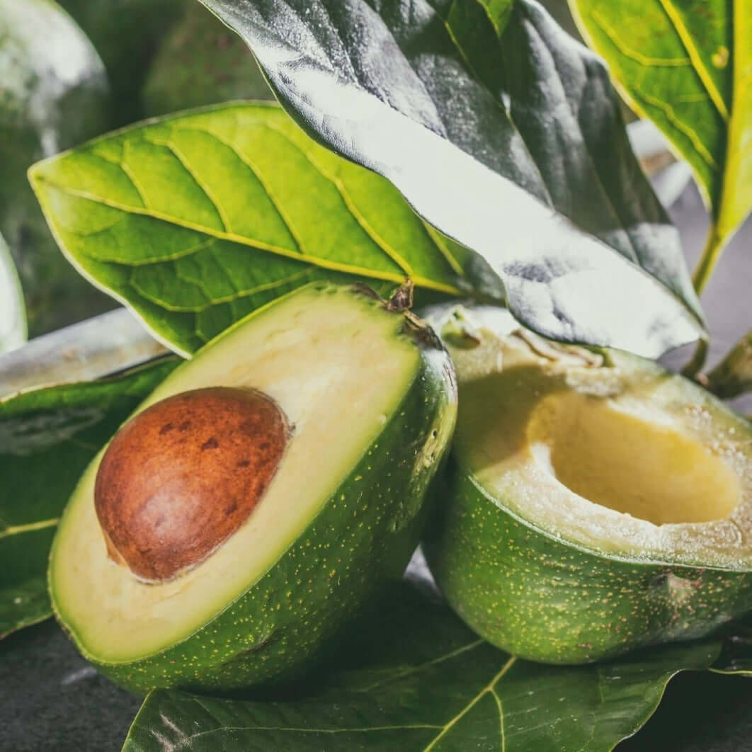Image of Little Cado Avocado