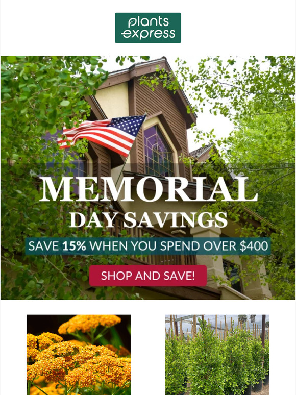 Last Day to Save 15% [Ends Tonight]
