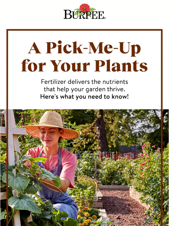 Burpee Gardening How to give your plants a boost! Milled