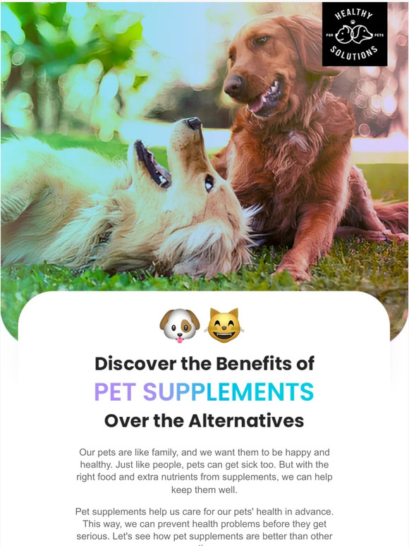 The key to long-term pet health 🔑