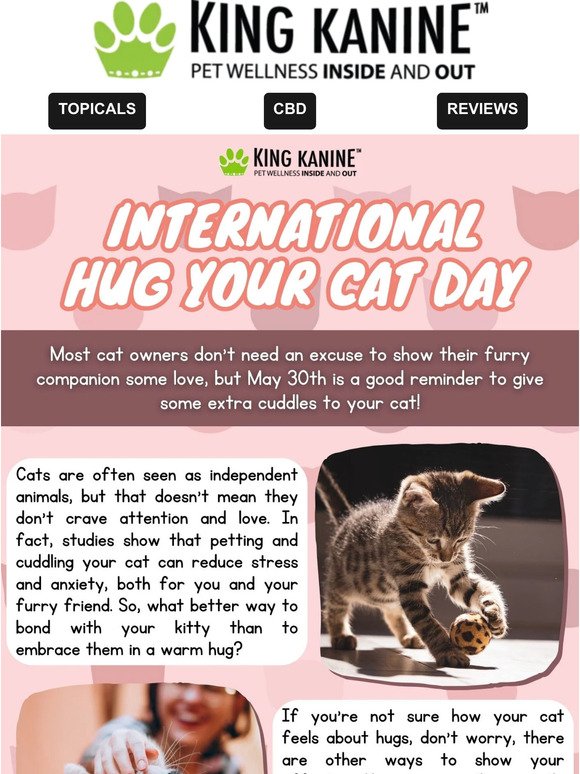😻💖😻 International Hug Your Cat Day 😻💖😻