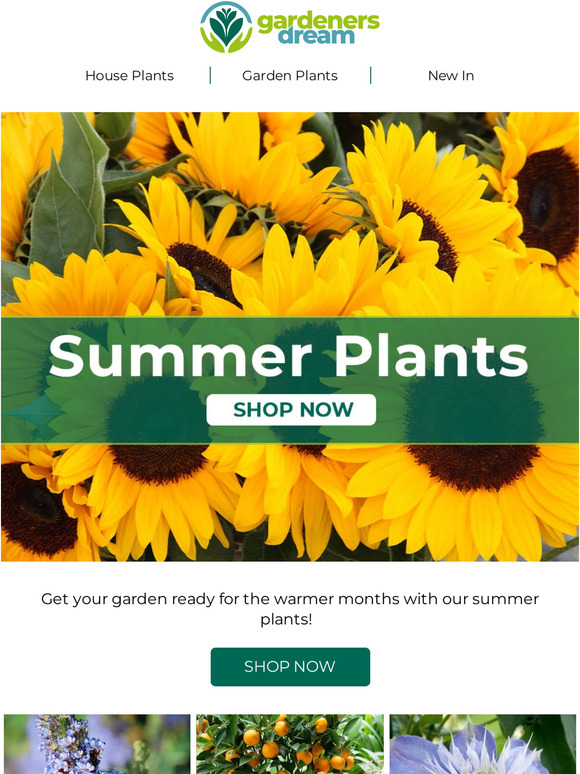 Gardeners Dream Discover our summer plants! ☀️ Milled