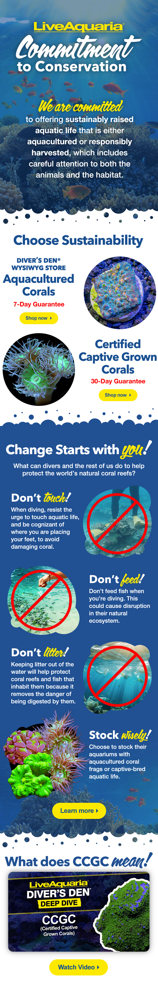 We celebrate coral reefs Milled