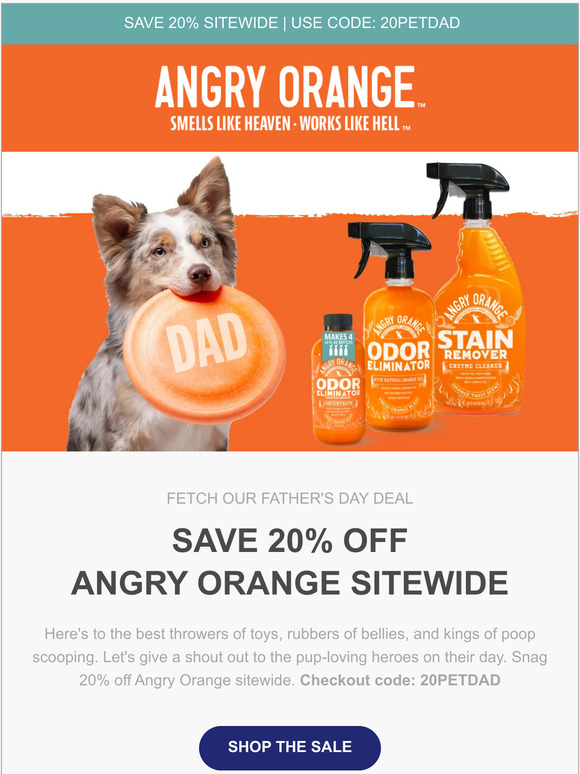 Raise a Paw (or Leg) to Your Favorite Pet Dad!