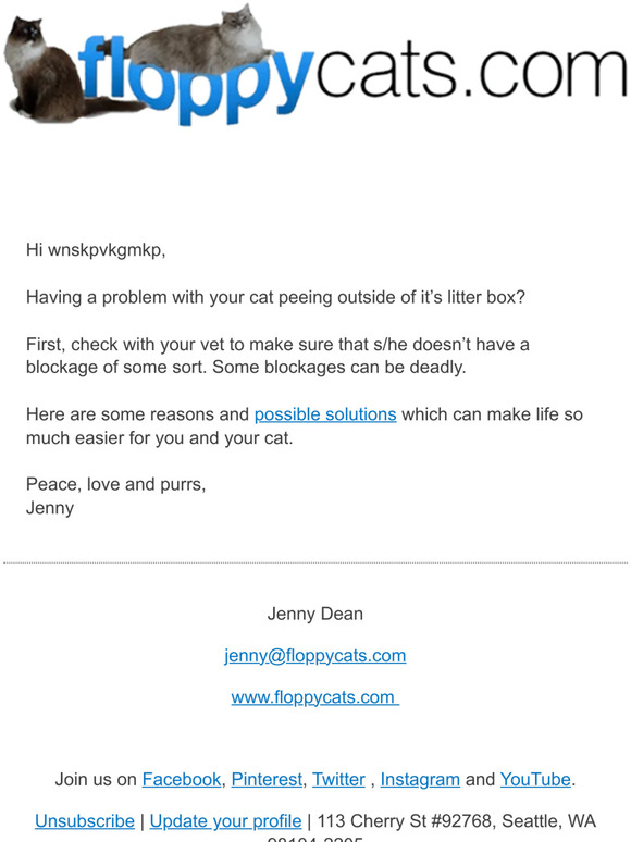 😻 Is Your Cat Peeing Outside of the Litter Box?