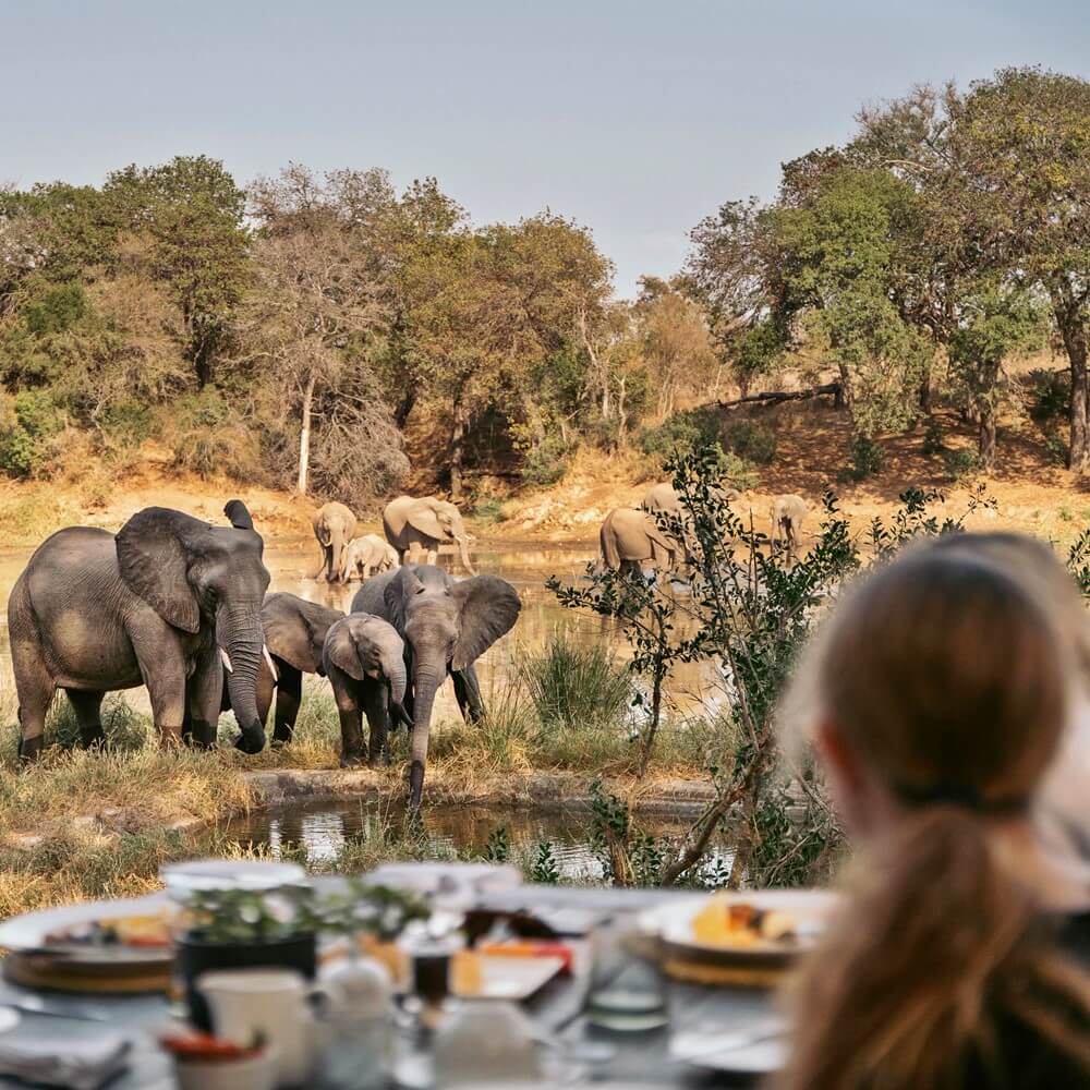 Waterhole at Camp