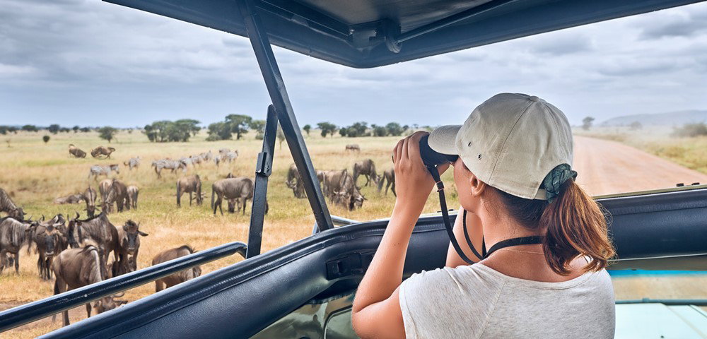 Game Drive
