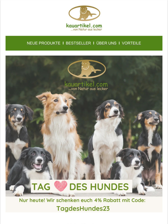 Wir feiern den Tag des Hundes mit 4% Rabatt auf Alles!🐶