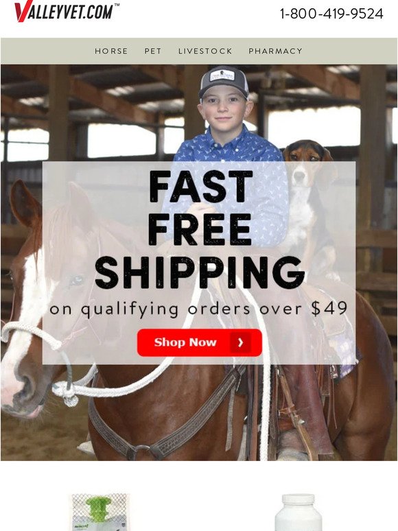 Did Someone Say FREE Shipping?