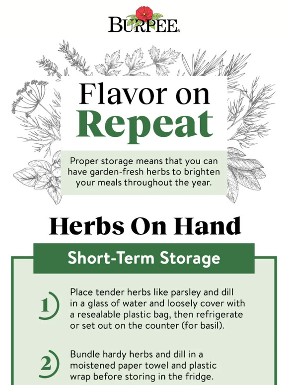 Burpee Gardening How to store your herbs 🌿 Milled