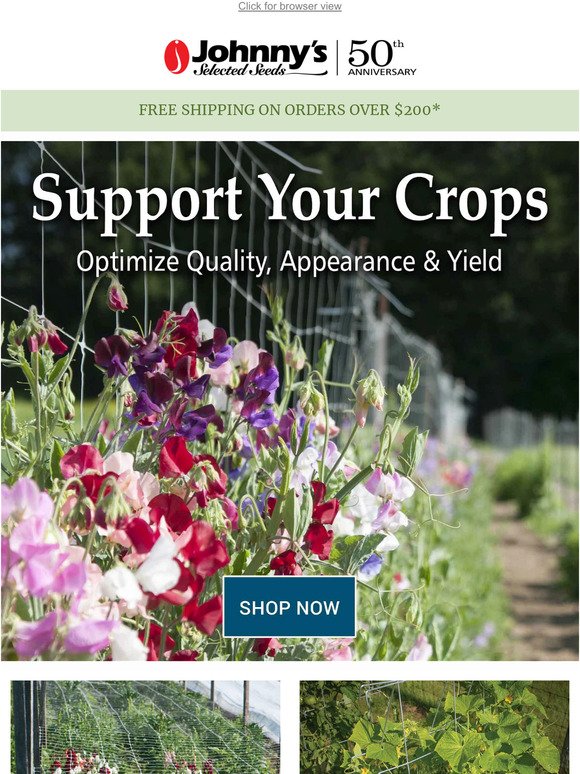 Support Your Vining & Climbing Crops