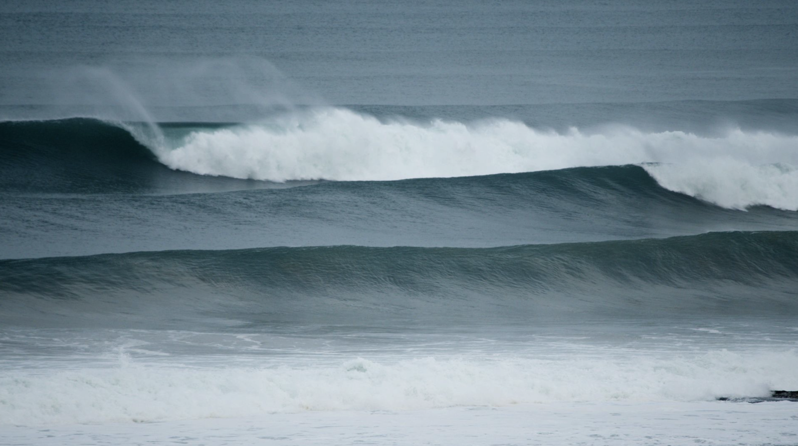 Need Essentials: Southern Ocean Swell | Milled