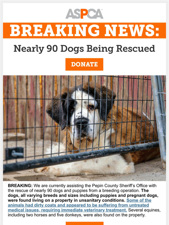 BREAKING: Nearly 90 Dogs Rescued