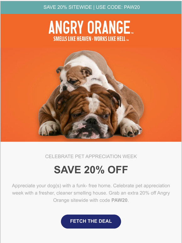 Fetch our Pet Appreciate Week Sale
