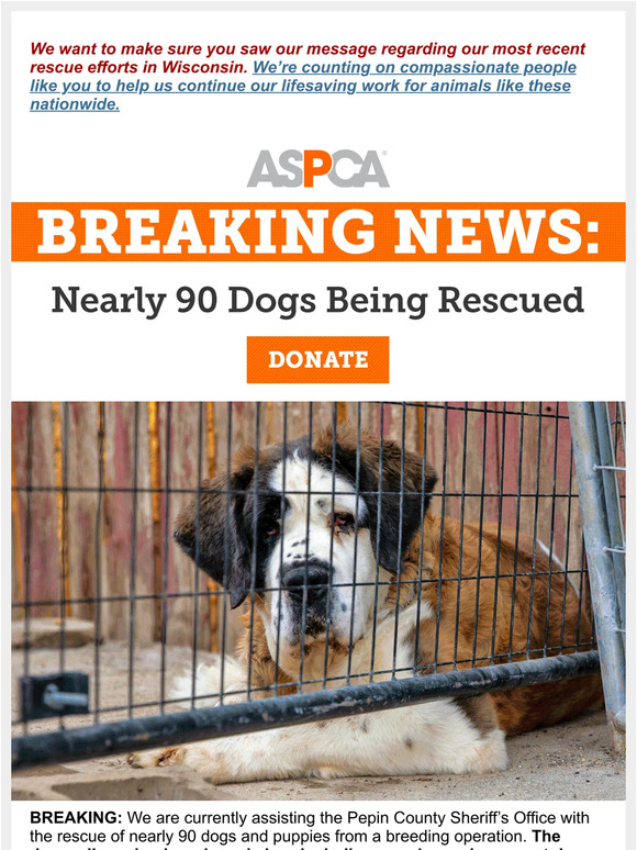 Happening Now: Rescue of Nearly 90 Dogs